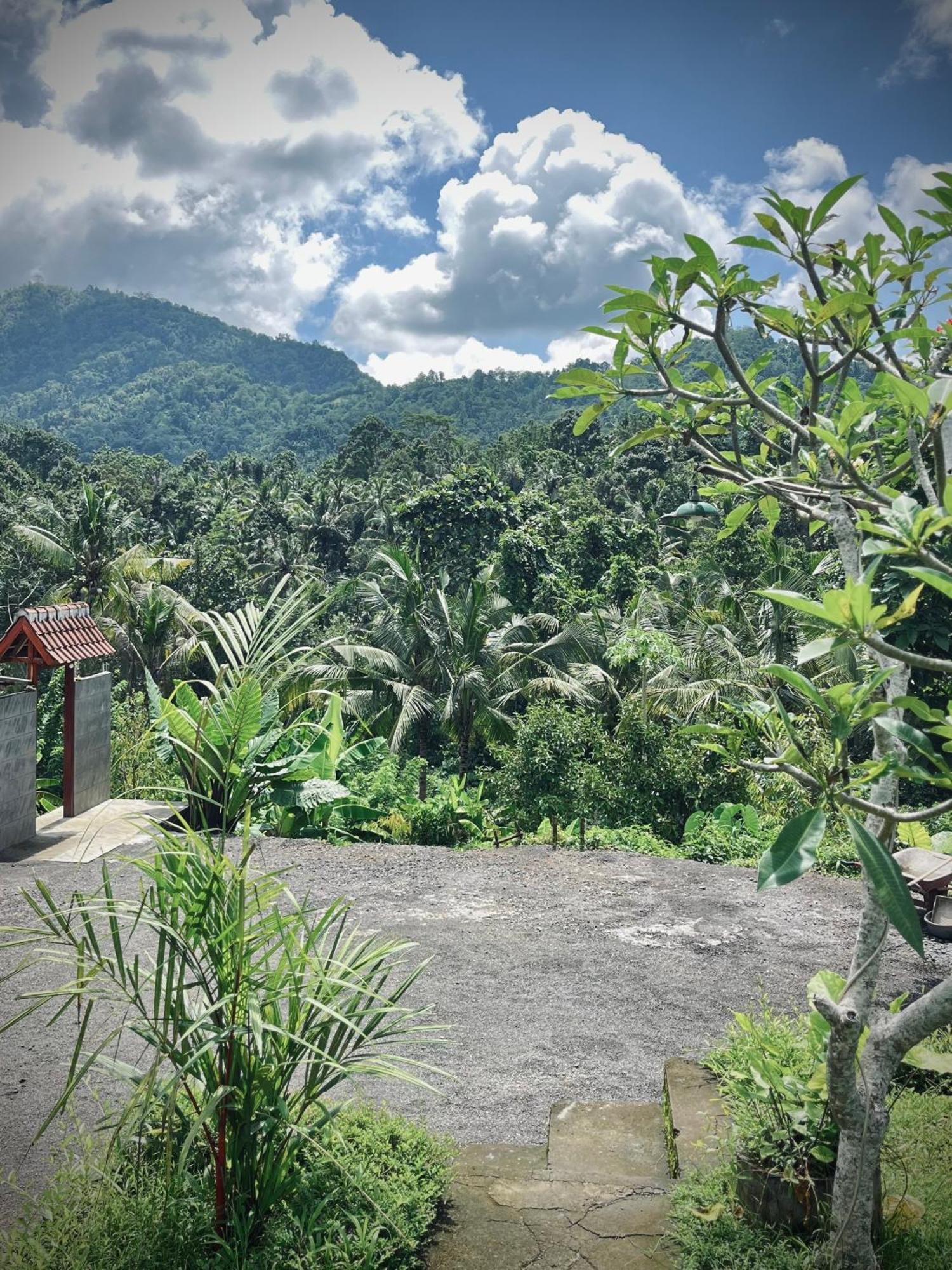 Papahan Bali ซิเดอมัน ภายนอก รูปภาพ