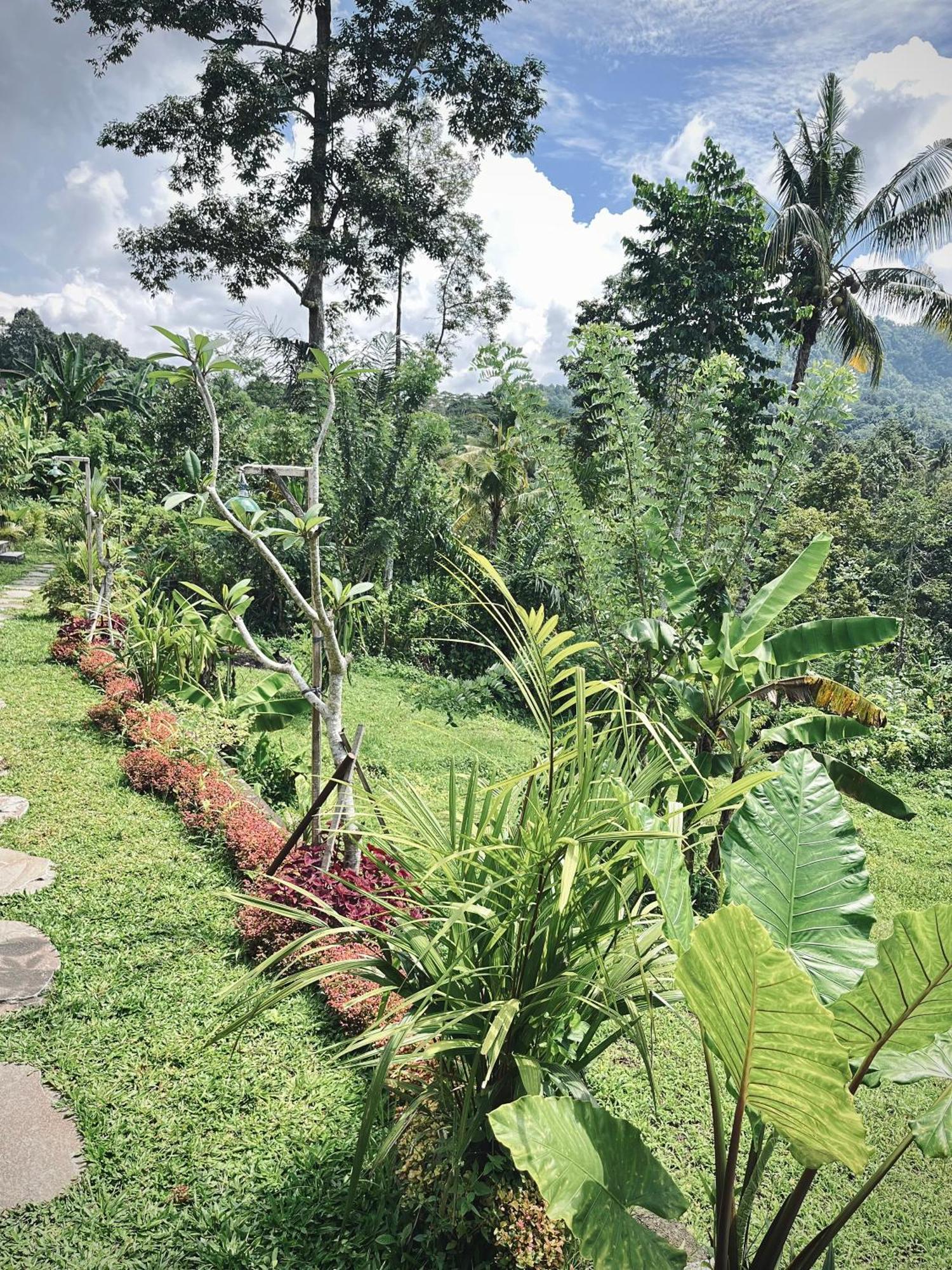 Papahan Bali ซิเดอมัน ภายนอก รูปภาพ